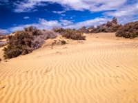 Dunes de Maspalomas